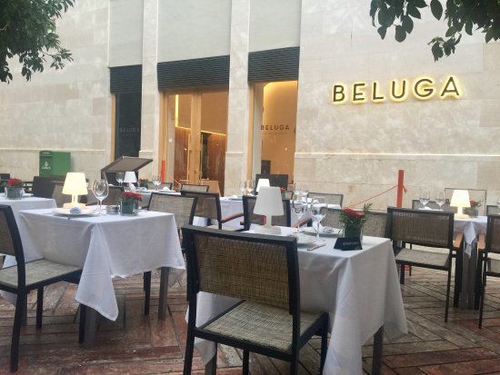 Beluga Málaga